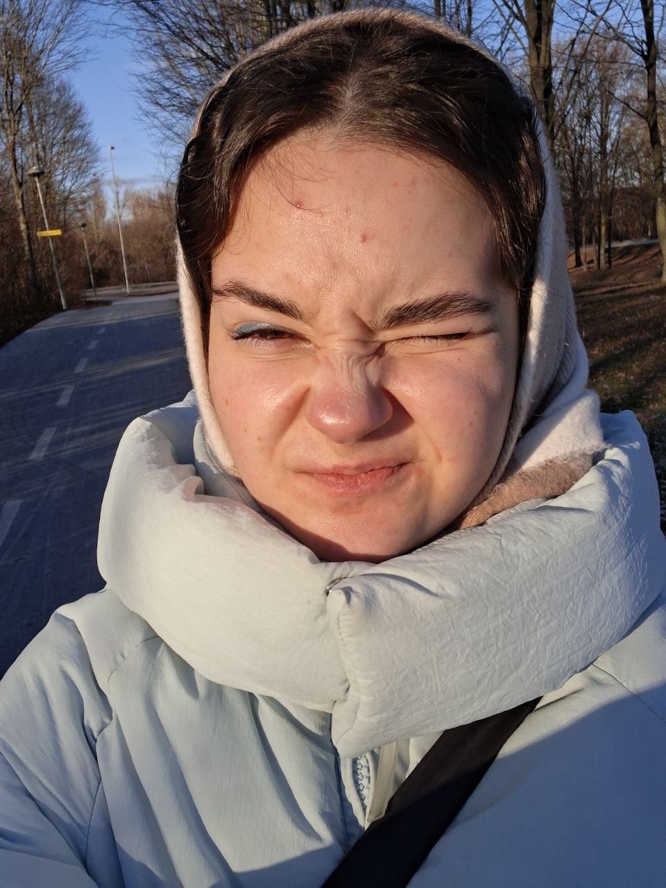 Студентка в зимовому пуховику на морозній вулиці Лунда