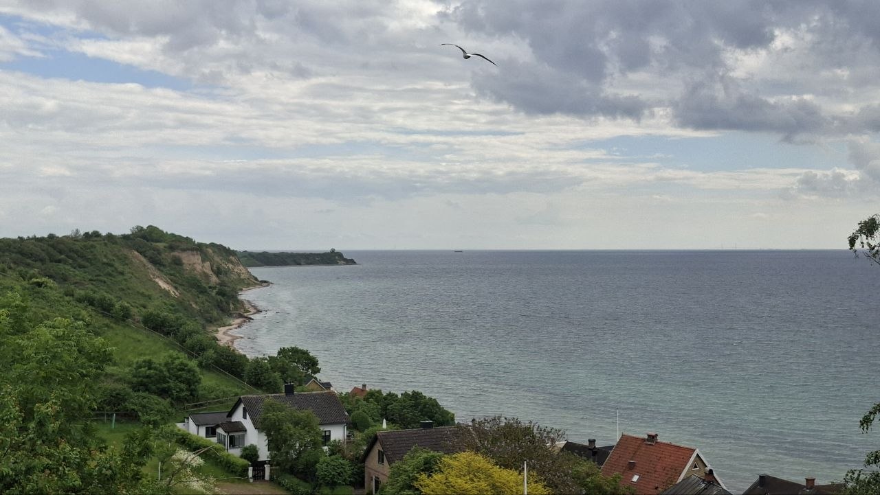 Узбережжя моря з висоти, чайка в небі